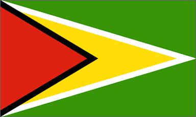 Guyana National Flag Printed Flags - United Flags And Flagstaffs